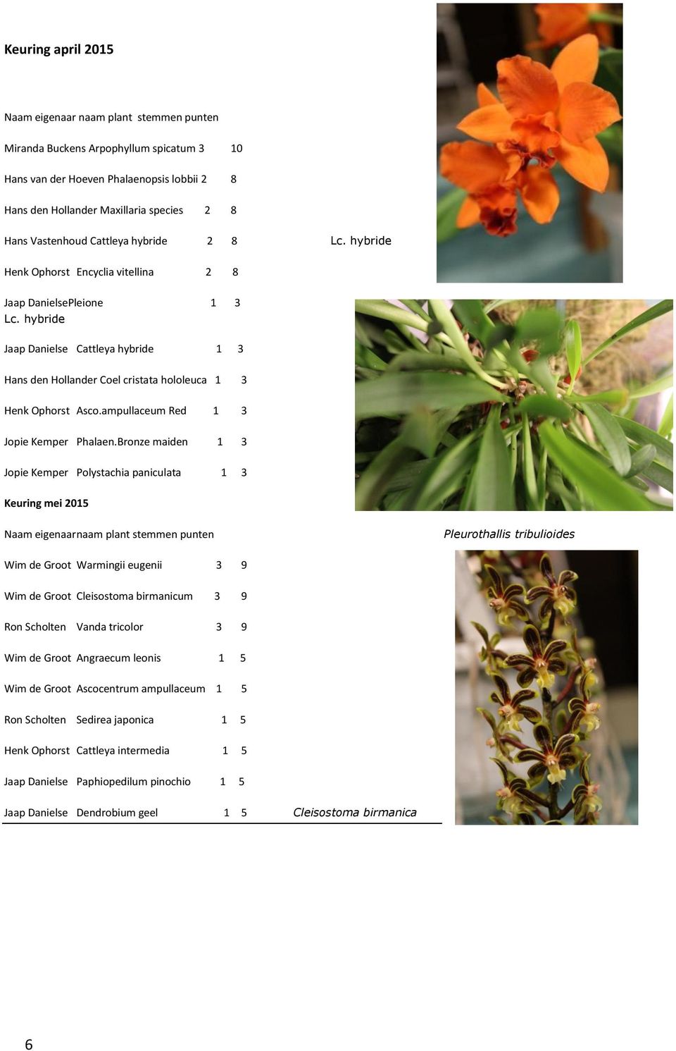 hybride Jaap Danielse Cattleya hybride 1 3 Hans den Hollander Coel cristata hololeuca 1 3 Henk Ophorst Asco.ampullaceum Red 1 3 Jopie Kemper Phalaen.