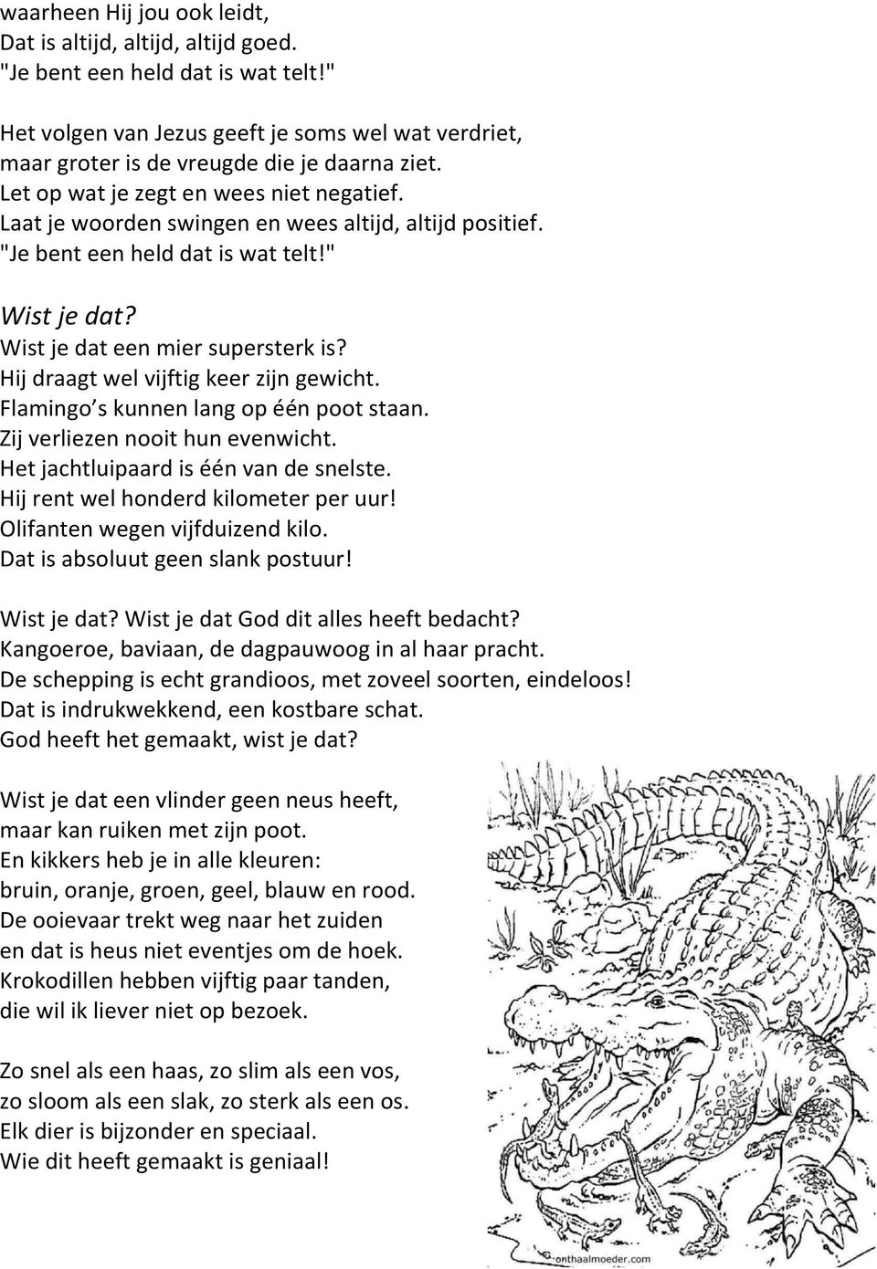 Hij draagt wel vijftig keer zijn gewicht. Flamingo s kunnen lang op één poot staan. Zij verliezen nooit hun evenwicht. Het jachtluipaard is één van de snelste. Hij rent wel honderd kilometer per uur!