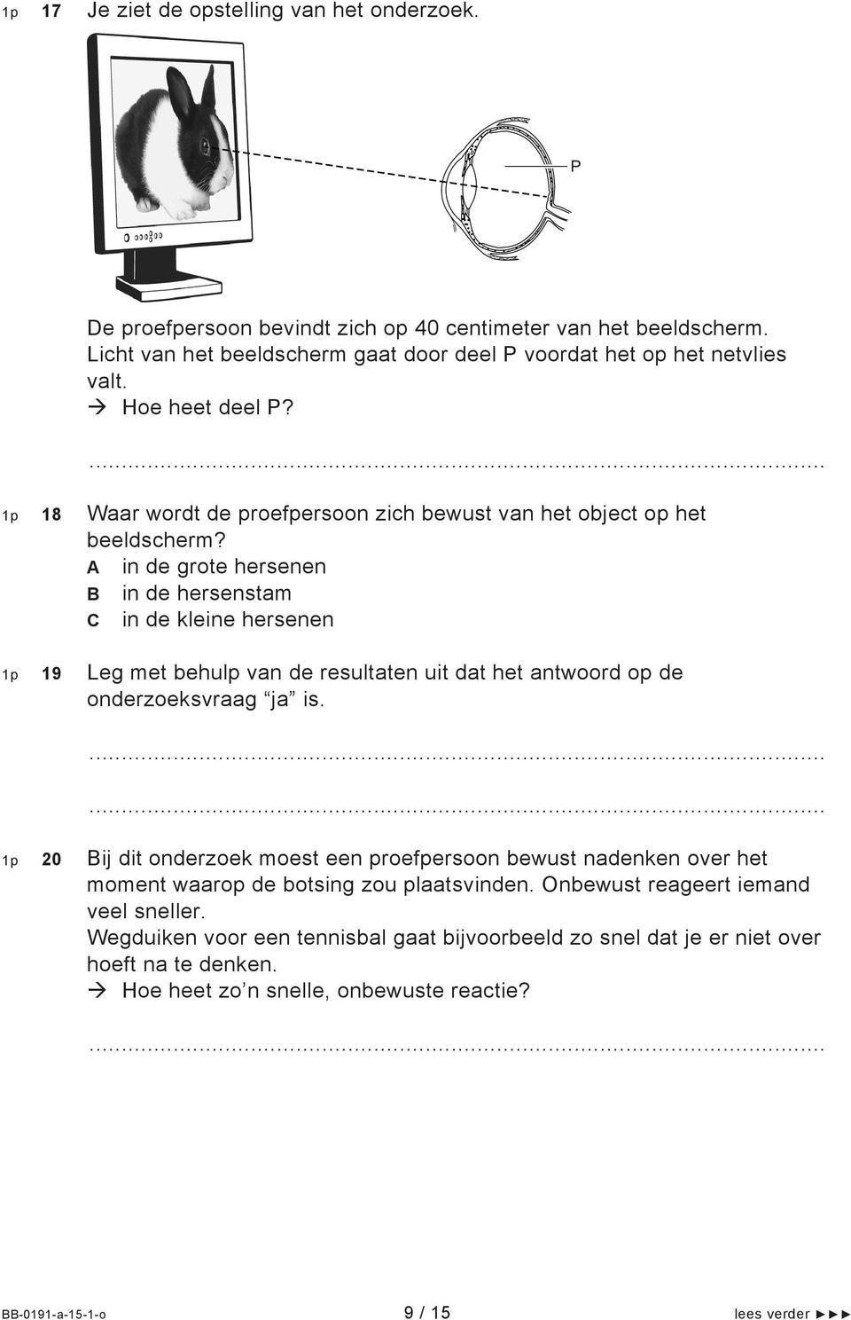 A in de grote hersenen B in de hersenstam C in de kleine hersenen 1p 19 Leg met behulp van de resultaten uit dat het antwoord op de onderzoeksvraag ja is.