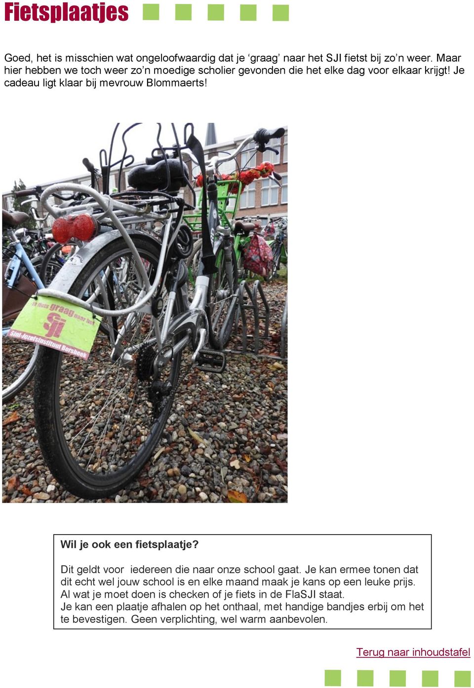 Wil je ook een fietsplaatje? Dit geldt voor iedereen die naar onze school gaat.