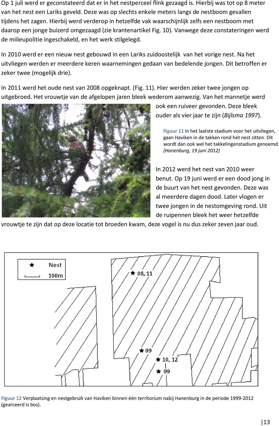 Hierbij werd verderop in hetzelfde vak waarschijnlijk zelfs een nestboom met daarop een jonge buizerd omgezaagd (zie krantenartikel Fig. 10).