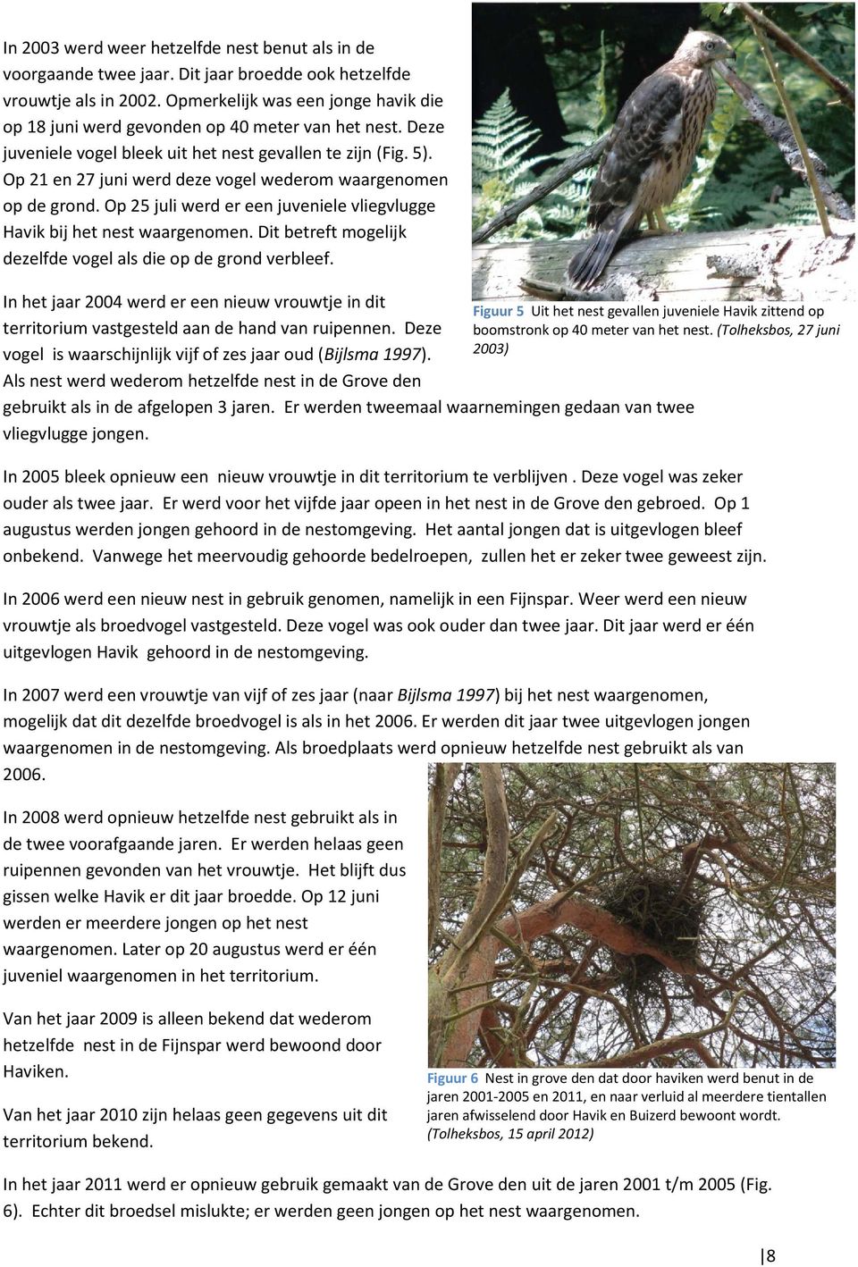 Op 21 en 27 juni werd deze vogel wederom waargenomen op de grond. Op 25 juli werd er een juveniele vliegvlugge Havik bij het nest waargenomen.