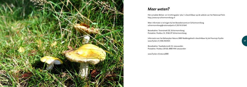 nl 0519-531641 Bezoekadres: Torenstreek 20, Schiermonnikoog Postadres: Postbus 32, 9166 ZP Schiermonnikoog Informatie over het Beheerplan Natura