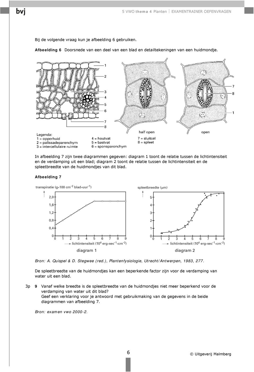 spleetbreedte van de huidmondjes van dit blad. Afbeelding 7 Bron: A. Quispel & D. Stegwee (red.), Plantenfysiologie, Utrecht/Antwerpen, 1983, 277.