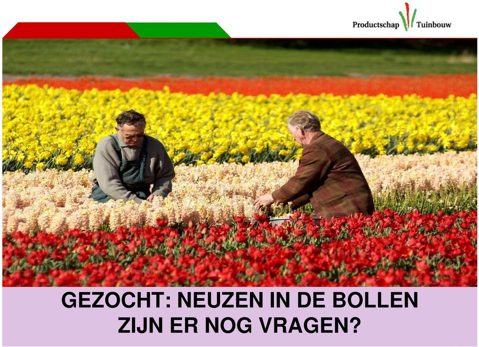 DE BOLLEN