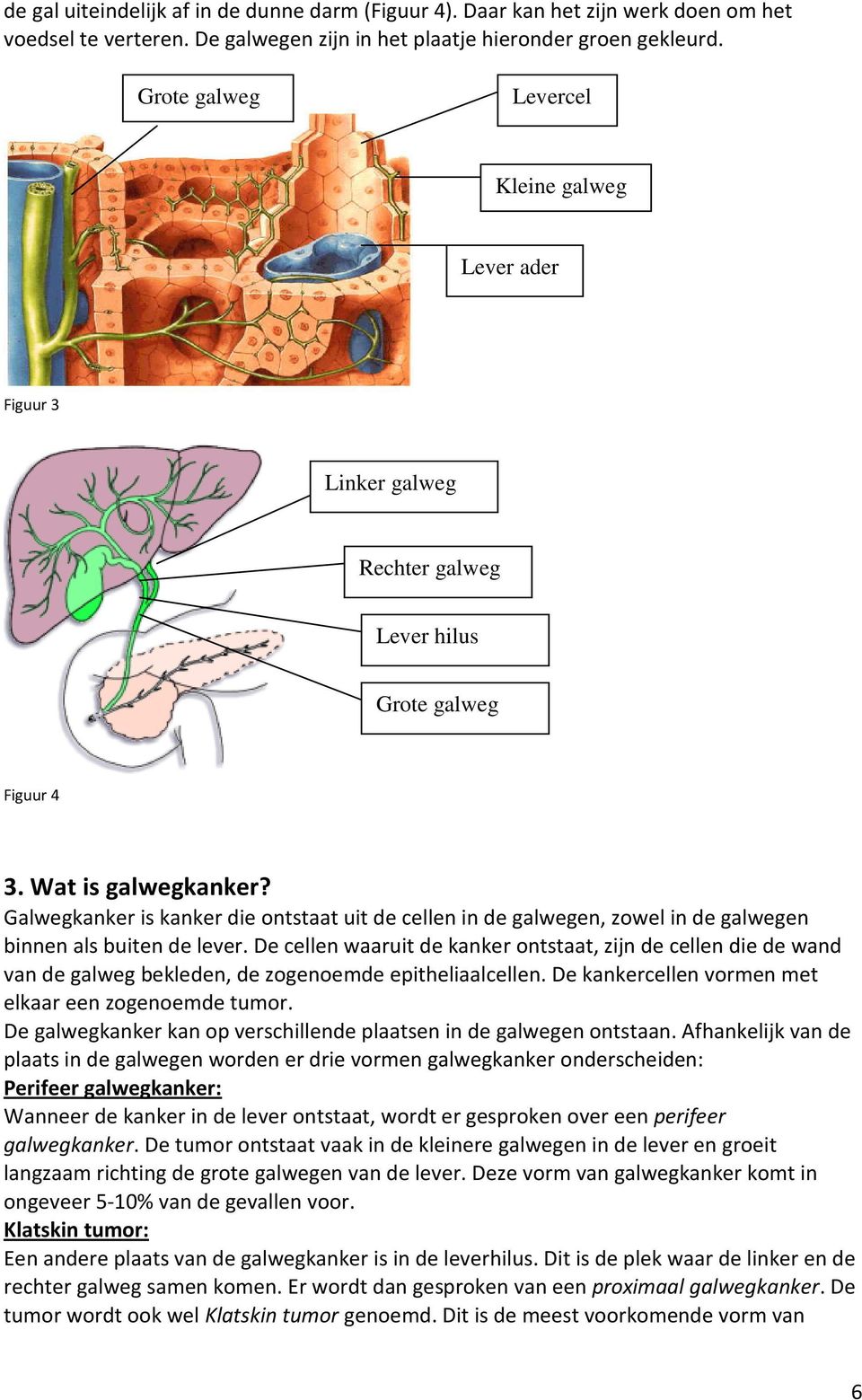 Galwegkanker is kanker die ontstaat uit de cellen in de galwegen, zowel in de galwegen binnen als buiten de lever.