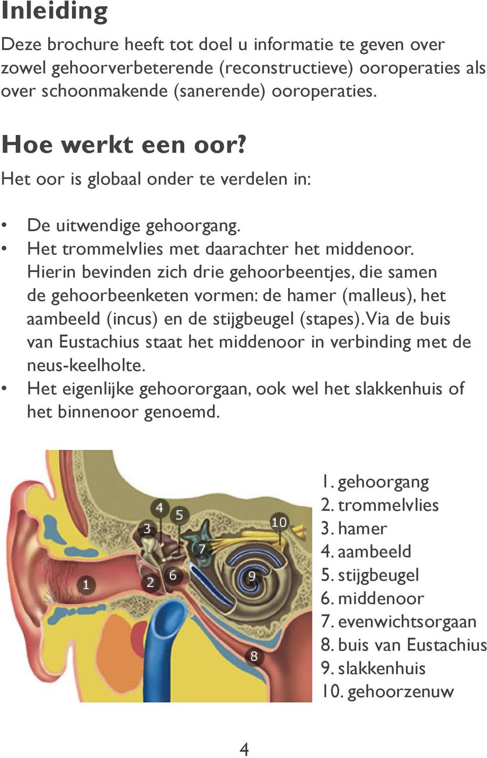 Hierin bevinden zich drie gehoorbeentjes, die samen de gehoorbeenketen vormen: de hamer (malleus), het aambeeld (incus) en de stijgbeugel (stapes).