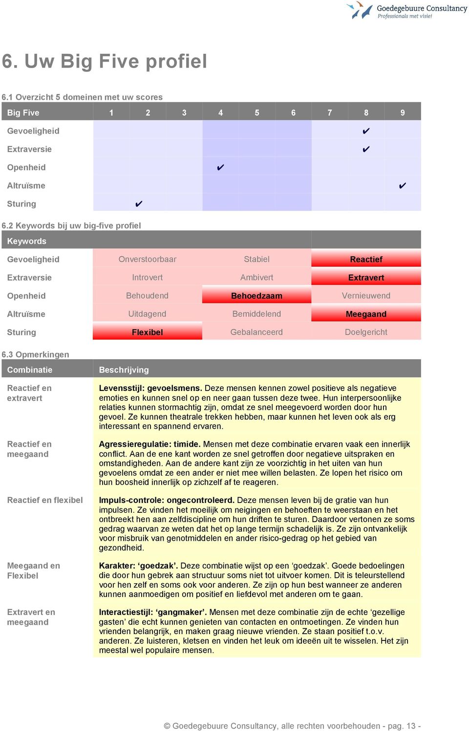 Bemiddelend Meegaand Sturing Flexibel Gebalanceerd Doelgericht 6.