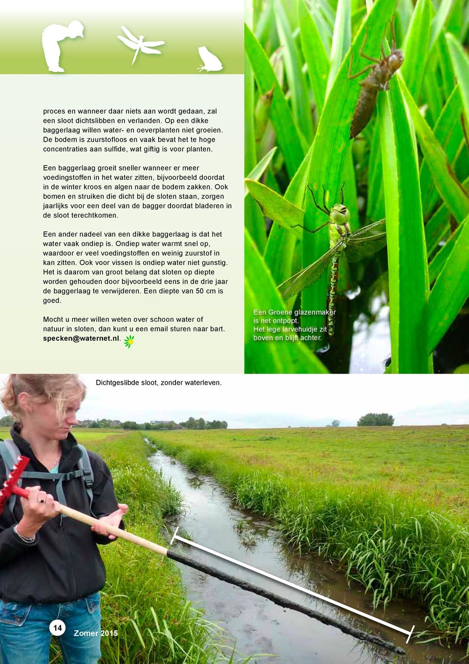 Een baggerlaag groeit sneller wanneer er meer voedingstoffen in het water zitten, bijvoorbeeld doordat in de winter kroos en algen naar de bodem zakken.