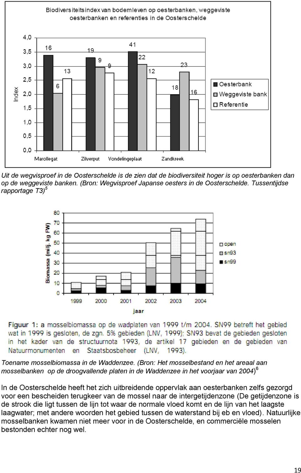 (Bron: Het mosselbestand en het areaal aan mosselbanken op de droogvallende platen in de Waddenzee in het voorjaar van 2004) 6 In de Oosterschelde heeft het zich uitbreidende oppervlak aan