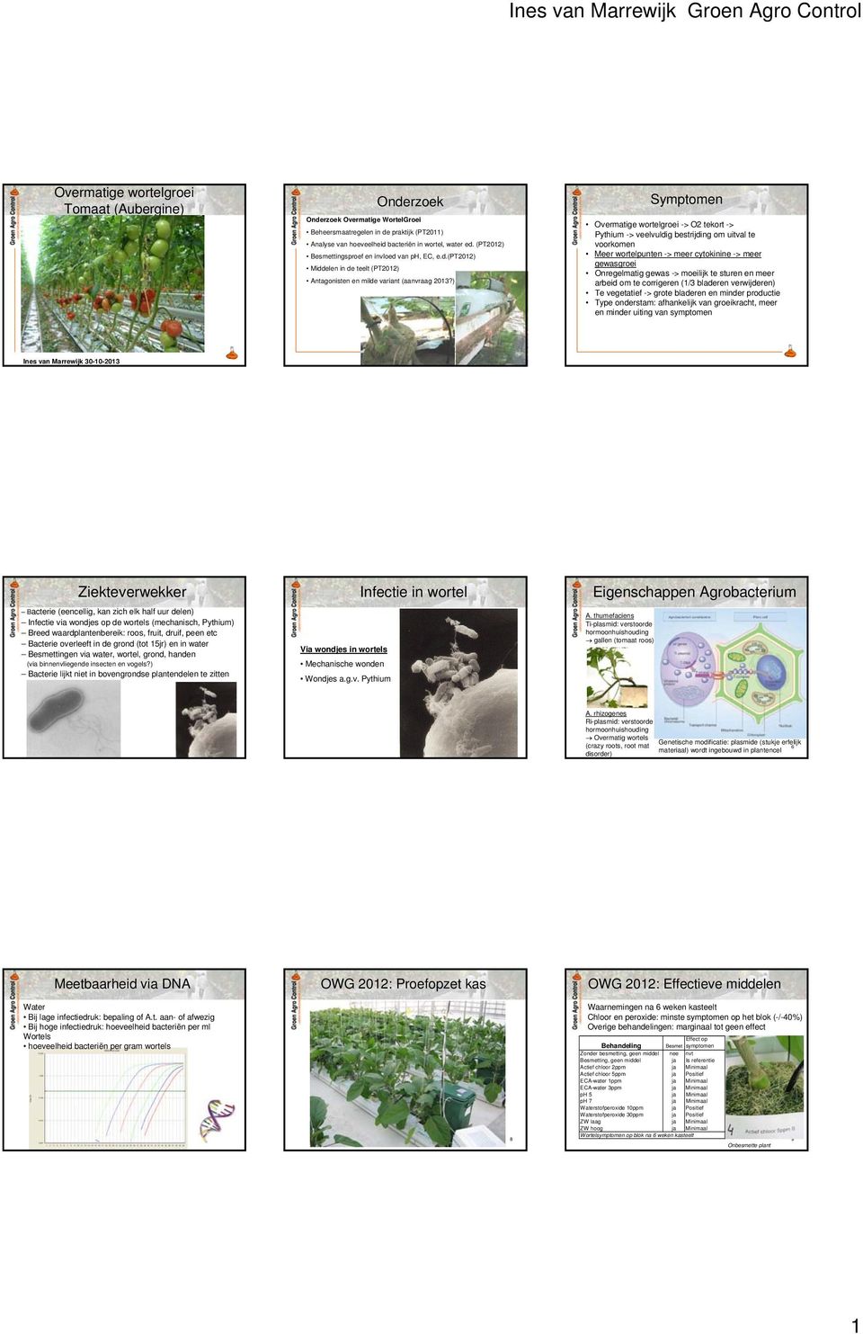 ) Symptomen Overmatige wortelgroei -> O2 tekort -> Pythium -> veelvuldig bestrijding om uitval te voorkomen Meer wortelpunten -> meer cytokinine -> meer gewasgroei Onregelmatig gewas -> moeilijk te