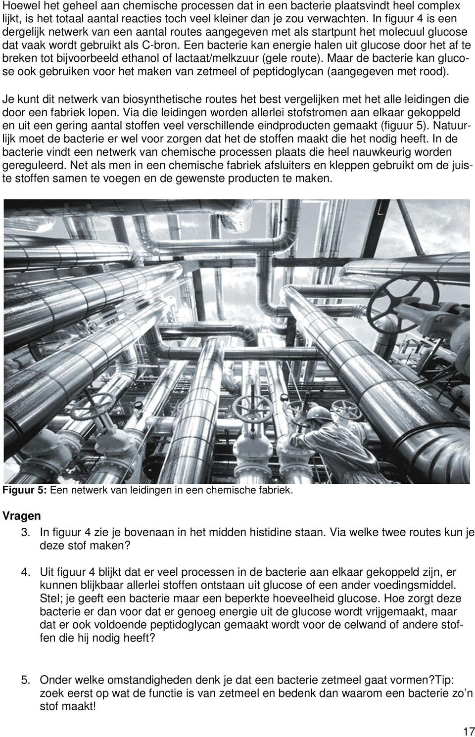 Een bacterie kan energie halen uit glucose door het af te breken tot bijvoorbeeld ethanol of lactaat/melkzuur (gele route).