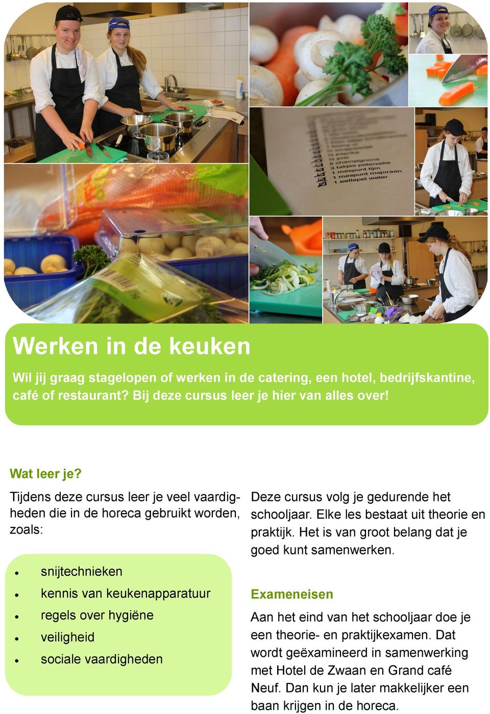 vaardigheden Deze cursus volg je gedurende het schooljaar. Elke les bestaat uit theorie en praktijk. Het is van groot belang dat je goed kunt samenwerken.