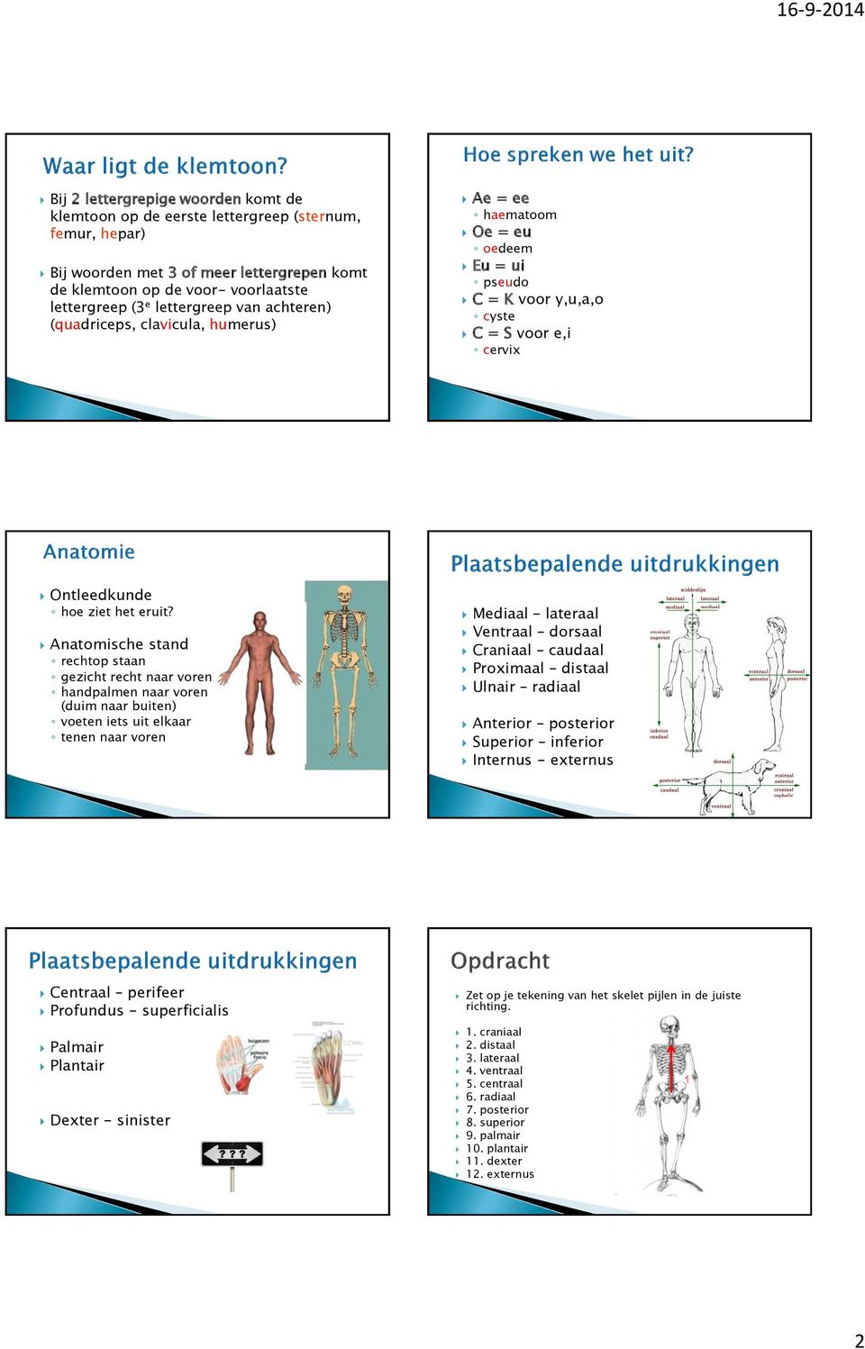 Anatomische stand rechtop staan gezicht recht naar voren handpalmen naar voren (duim naar buiten) voeten iets uit elkaar tenen naar voren Mediaal lateraal Ventraal dorsaal Craniaal caudaal Proximaal