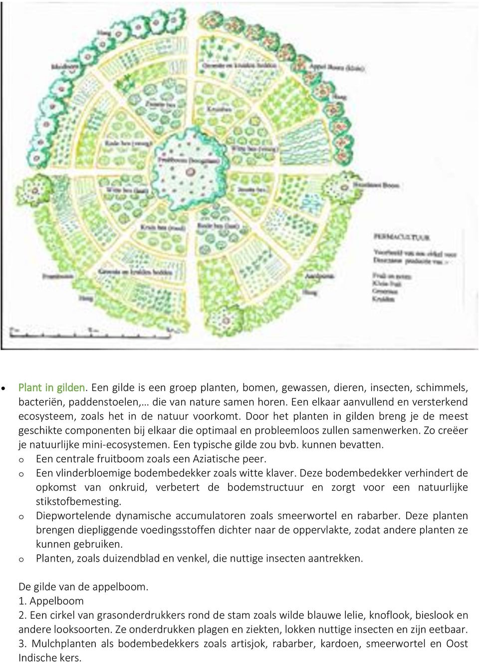 Door het planten in gilden breng je de meest geschikte componenten bij elkaar die optimaal en probleemloos zullen samenwerken. Zo creëer je natuurlijke mini-ecosystemen. Een typische gilde zou bvb.