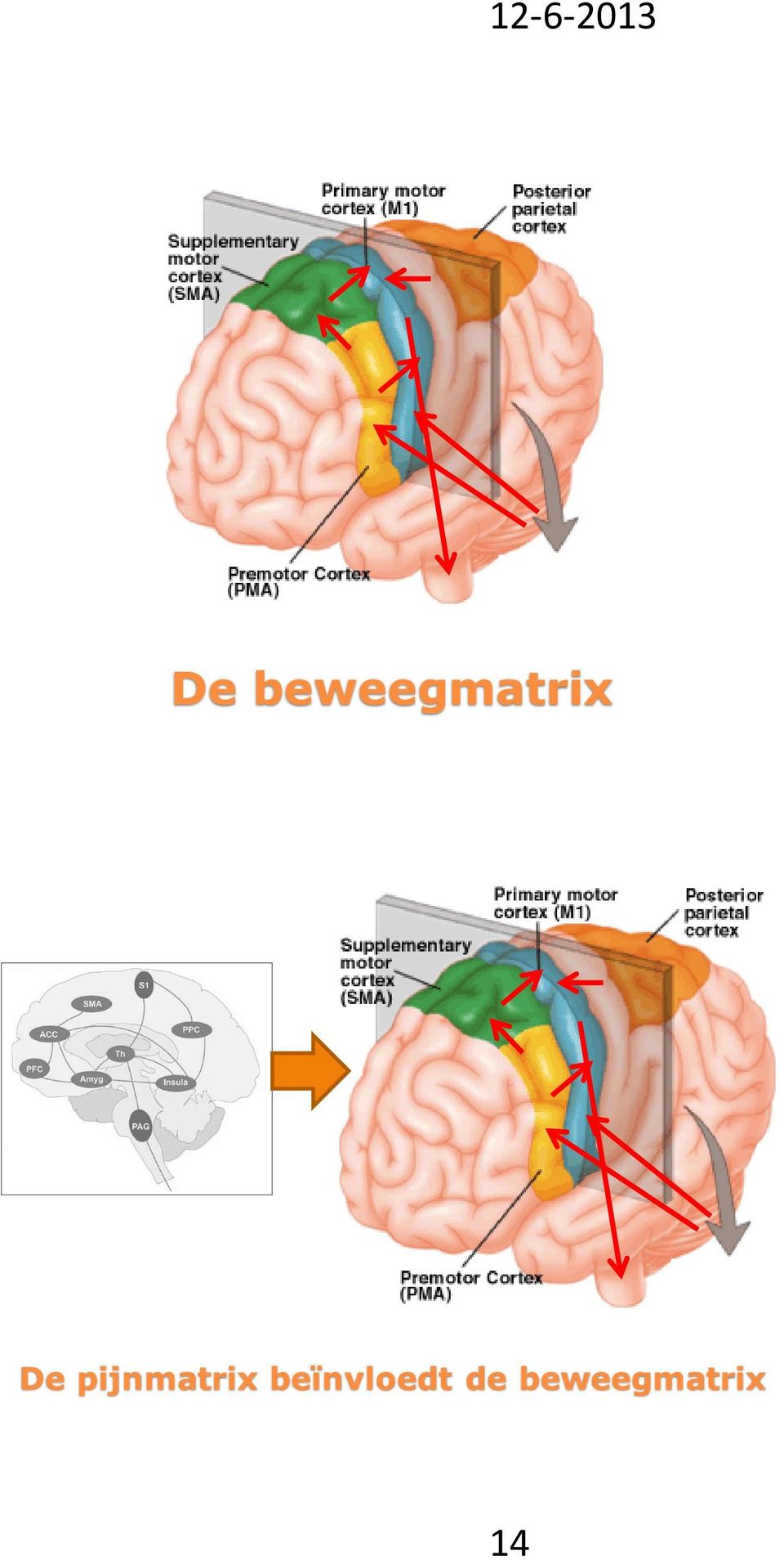 pijnmatrix