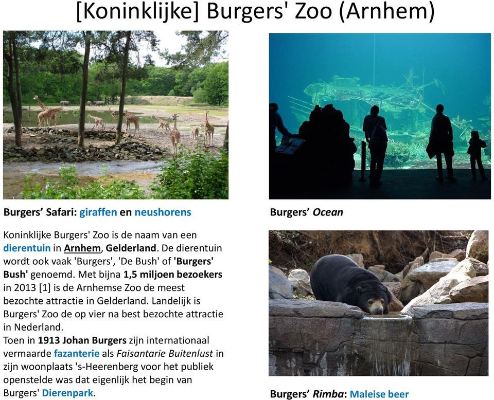 Met bijna 1,5 miljoen bezoekers in 2013 [1] is de Arnhemse Zoo de meest bezochte attractie in Gelderland.