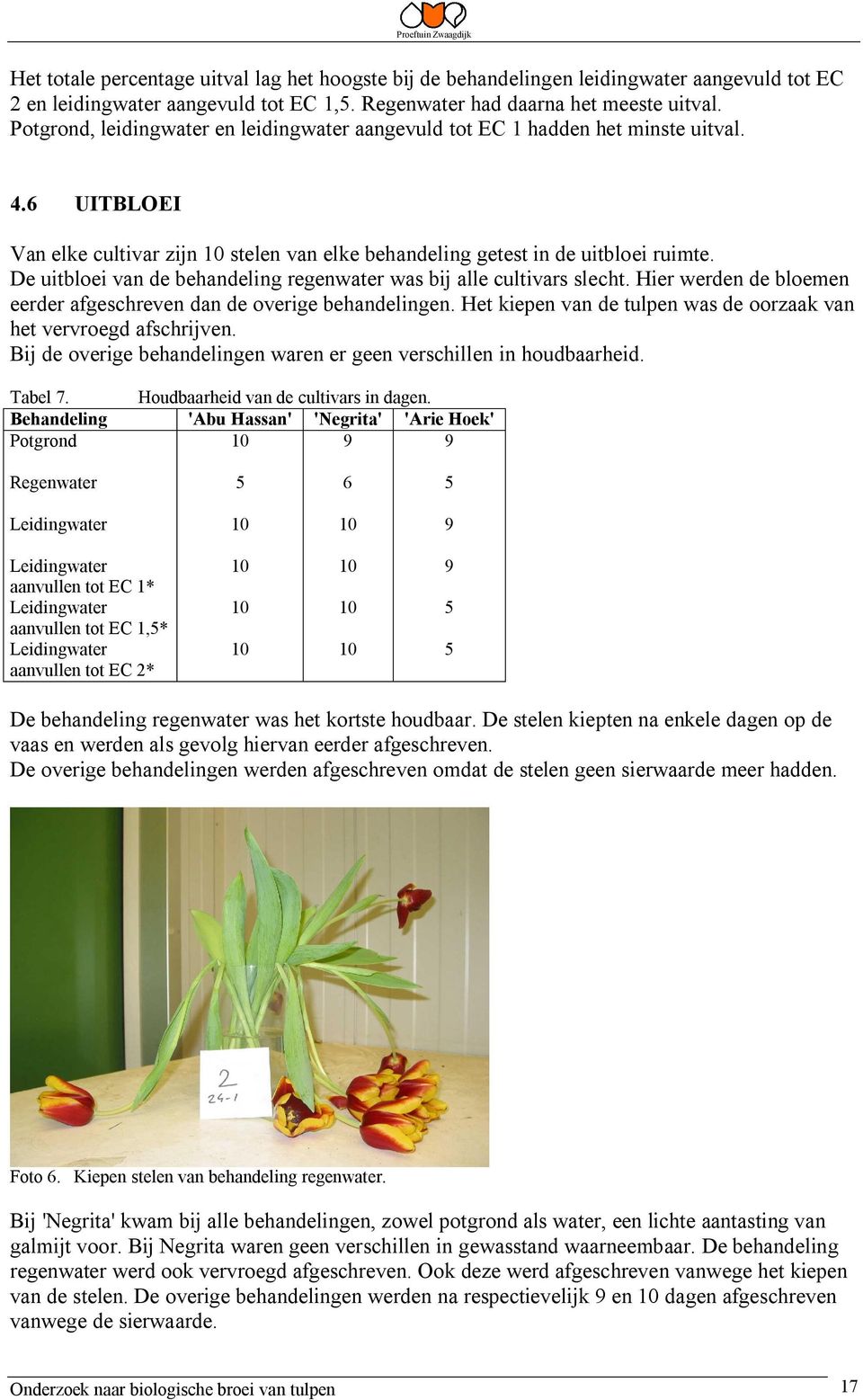 De uitbloei van de behandeling regenwater was bij alle cultivars slecht. Hier werden de bloemen eerder afgeschreven dan de overige behandelingen.