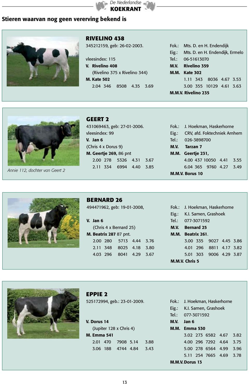 Fok.: J. Hoekman, Haskerhorne vleesindex: 99 Eig.: CRV, afd. Foktechniek Arnhem V. Jan 6 Tel.: 026-3898700 (Chris 4 x Dorus 9) M.V. Tarzan 7 M. Geertje 269, 86 pnt M.M. Geertje 231, 2.00 278 5326 4.