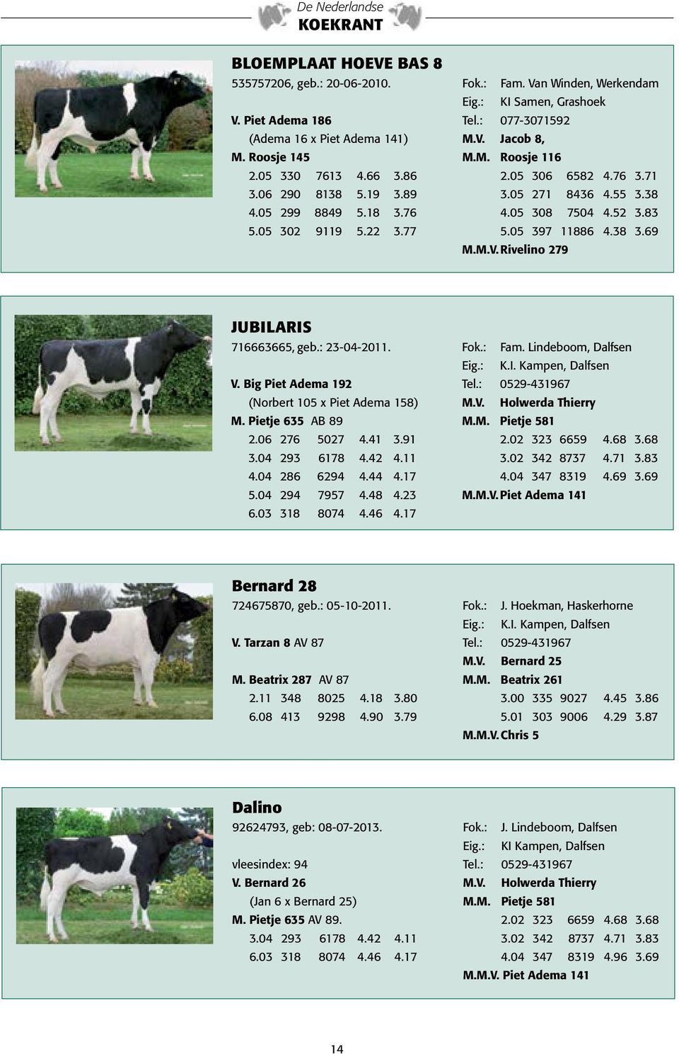 05 397 11886 4.38 3.69 M.M.V. Rivelino 279 JUBILARIS 716663665, geb.: 23-04-2011. Fok.: Fam. Lindeboom, Dalfsen Eig.: K.I. Kampen, Dalfsen V. Big Piet Adema 192 Tel.