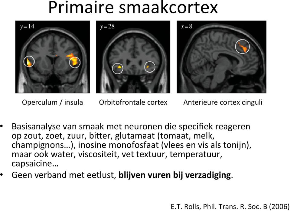 ), inosine monofosfaat (vlees en vis als tonijn), maar ook water, viscositeit, vet textuur, temperatuur,