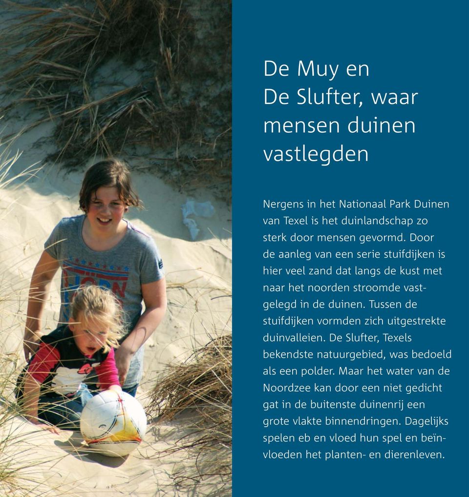 Tussen de stuifdijken vormden zich uitgestrekte duinvalleien. e Slufter, Texels bekendste natuurgebied, was bedoeld als een polder.