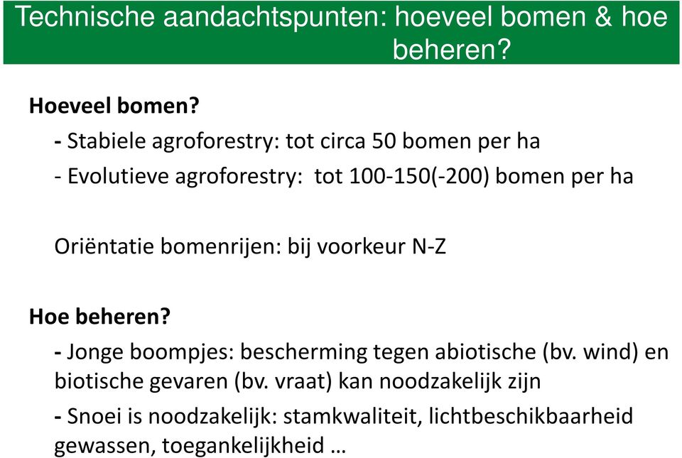 Oriëntatie bomenrijen: bij voorkeur N-Z Hoe beheren? -Jonge boompjes: bescherming tegen abiotische (bv.