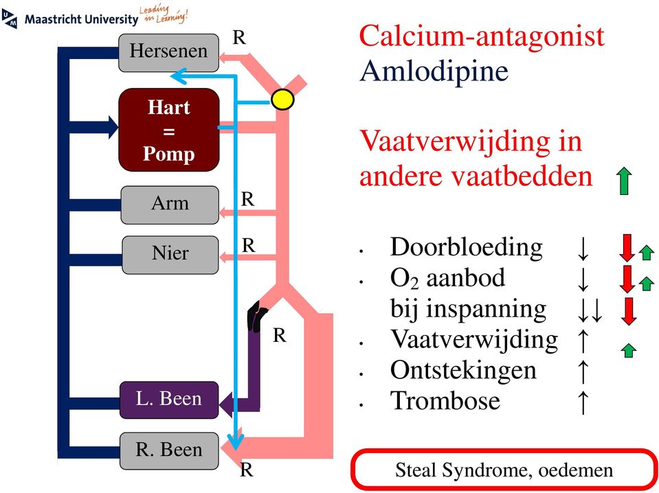 Doorbloeding O 2 aanbod bij inspanning