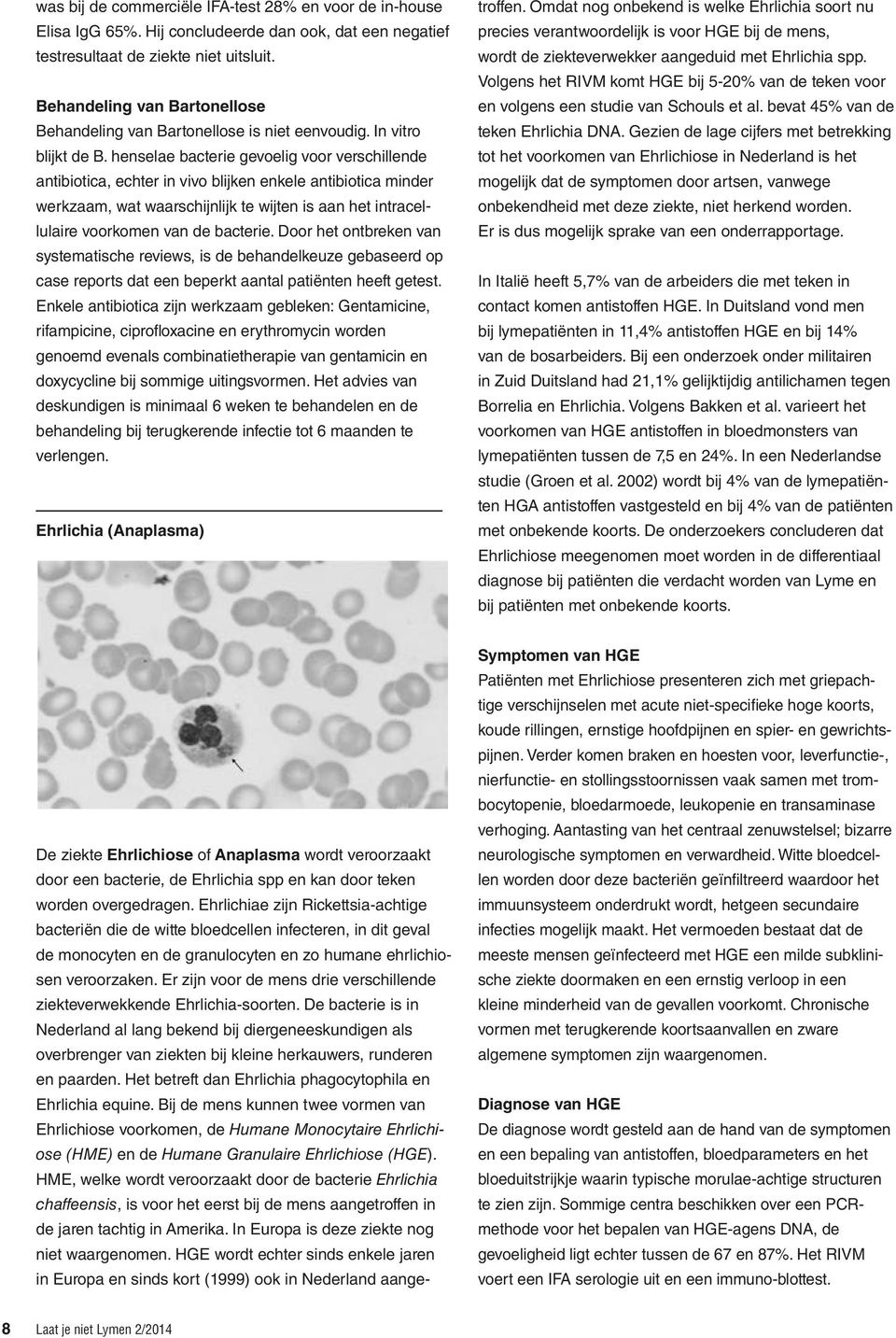 henselae bacterie gevoelig voor verschillende antibiotica, echter in vivo blijken enkele antibiotica minder werkzaam, wat waarschijnlijk te wijten is aan het intracellulaire voorkomen van de bacterie.