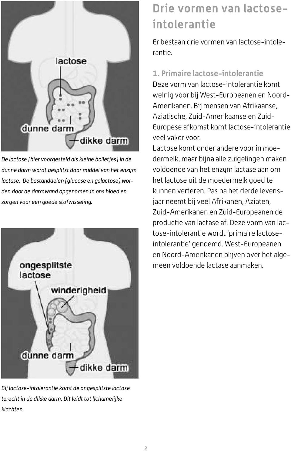 De bestanddelen (glucose en galactose) worden door de darmwand opgenomen in ons bloed en zorgen voor een goede stofwisseling. 1.