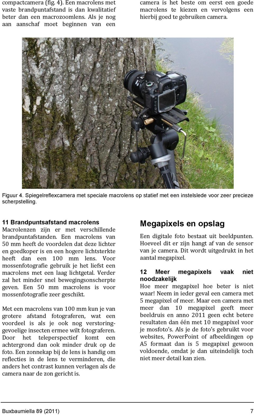 Spiegelreflexcamera met speciale macrolens op statief met een instelslede voor zeer precieze scherpstelling. 11 Brandpuntsafstand macrolens Macrolenzen zijn er met verschillende brandpuntafstanden.