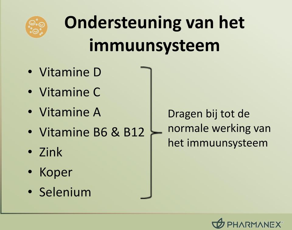 Vitamine B6 & B12 Zink Koper Selenium