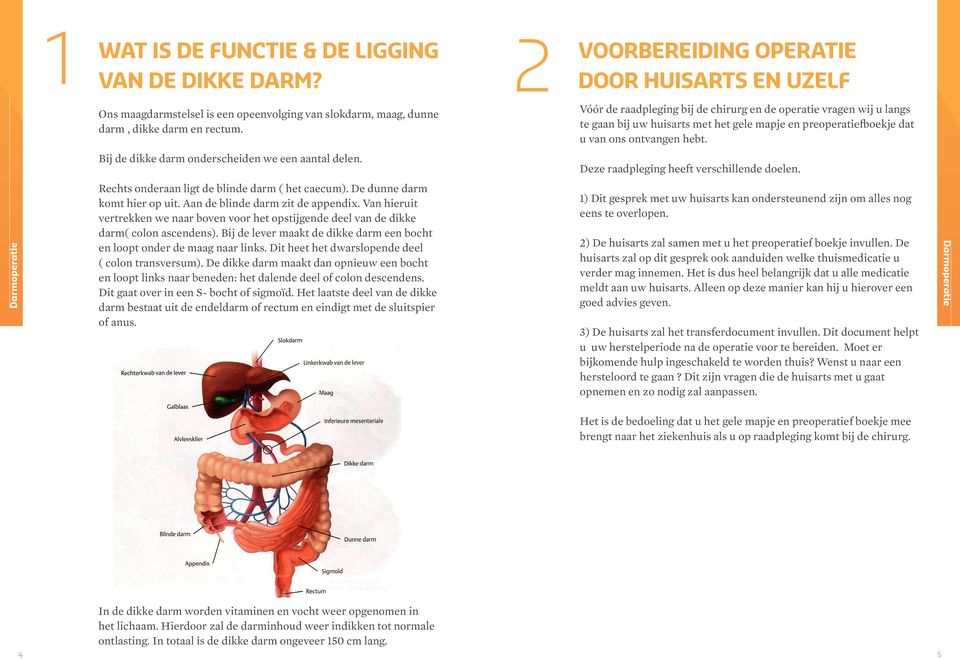 ontvangen hebt. Bij de dikke darm onderscheiden we een aantal delen. Deze raadpleging heeft verschillende doelen. Rechts onderaan ligt de blinde darm ( het caecum). De dunne darm komt hier op uit.