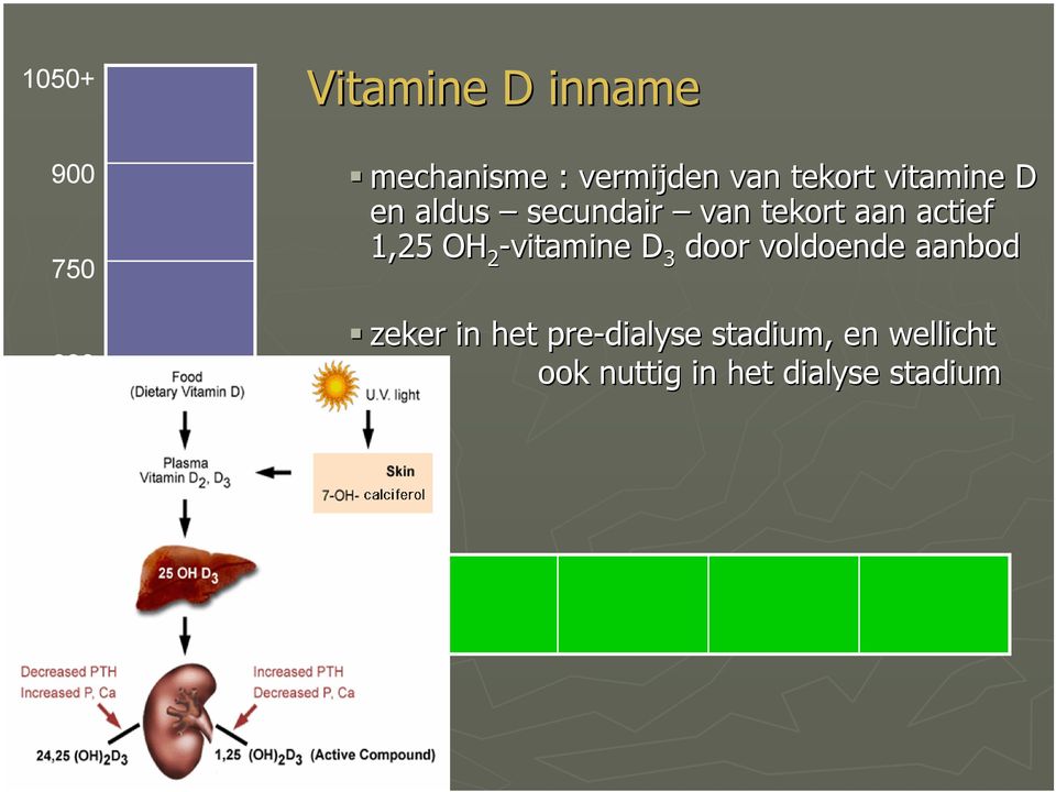 OH 2 -vitamine D 3 door voldoende aanbod zeker in het pre-dialyse