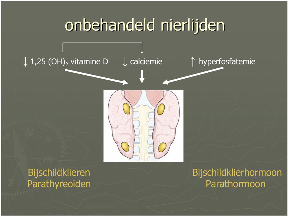 hyperfosfatemie Bijschildklieren