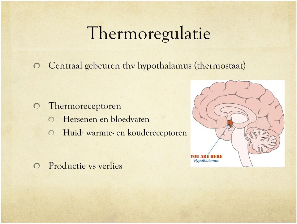 (thermostaat)! Thermoreceptoren!
