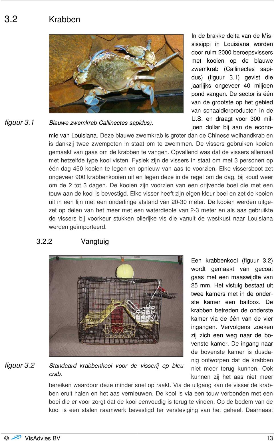 en draagt voor 300 miljoen dollar bij aan de econo- Blauwe zwemkrab Callinectes sapidus). mie van Louisiana.