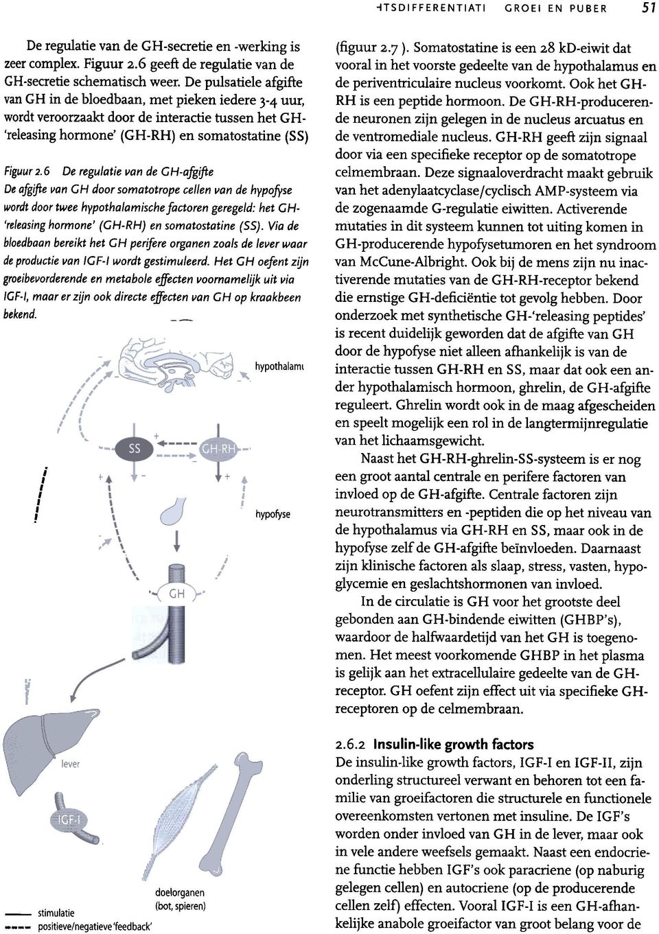 6 De regulatie lian de GH-afgifte De afgifte lian GH door somatotrope cellenllan de hypofyse wordt door twee hypothalamische factoren geregeld: het GH- 'releasil1g hormone' (GH-RH) en somatostatil1e