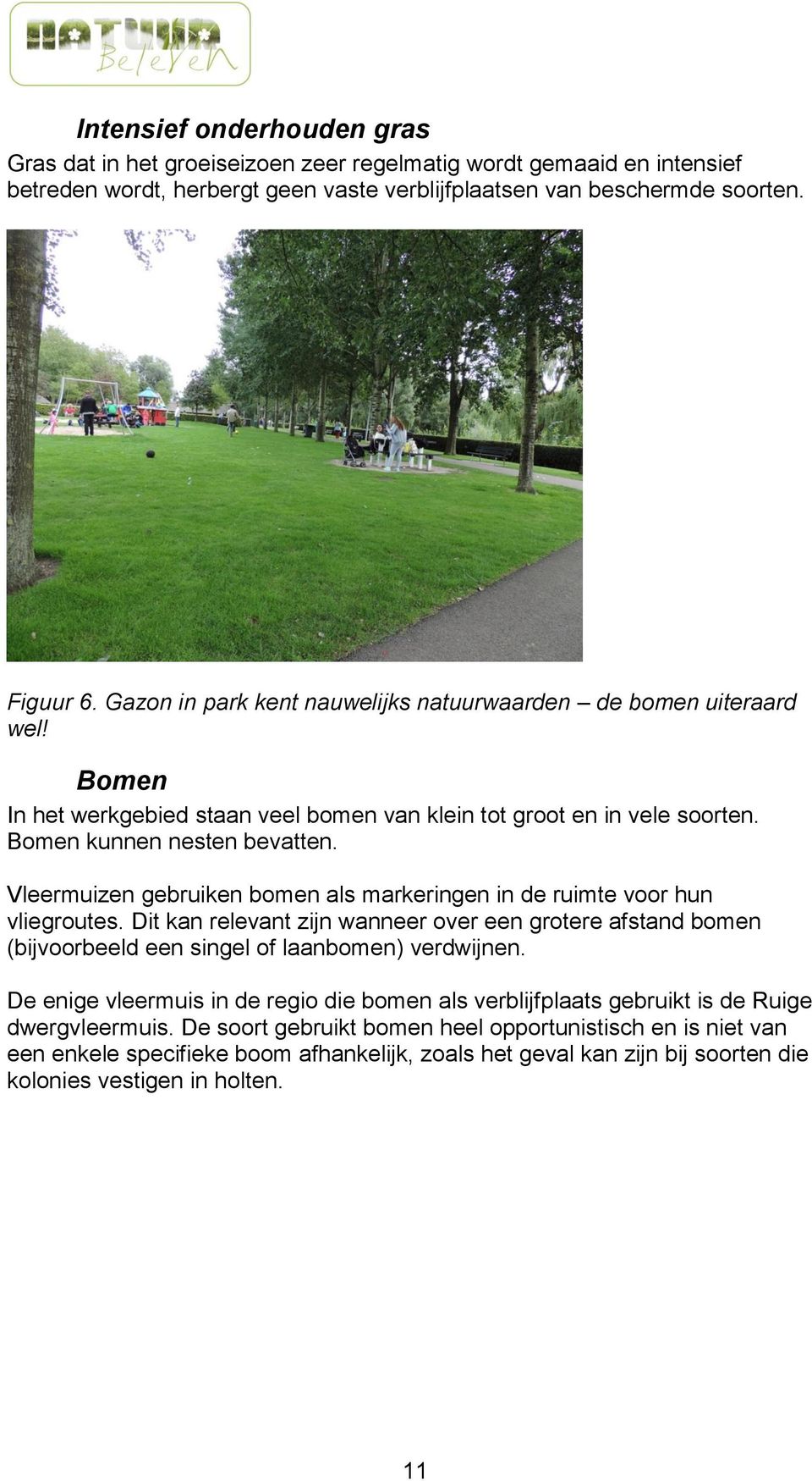 Vleermuizen gebruiken bomen als markeringen in de ruimte voor hun vliegroutes. Dit kan relevant zijn wanneer over een grotere afstand bomen (bijvoorbeeld een singel of laanbomen) verdwijnen.