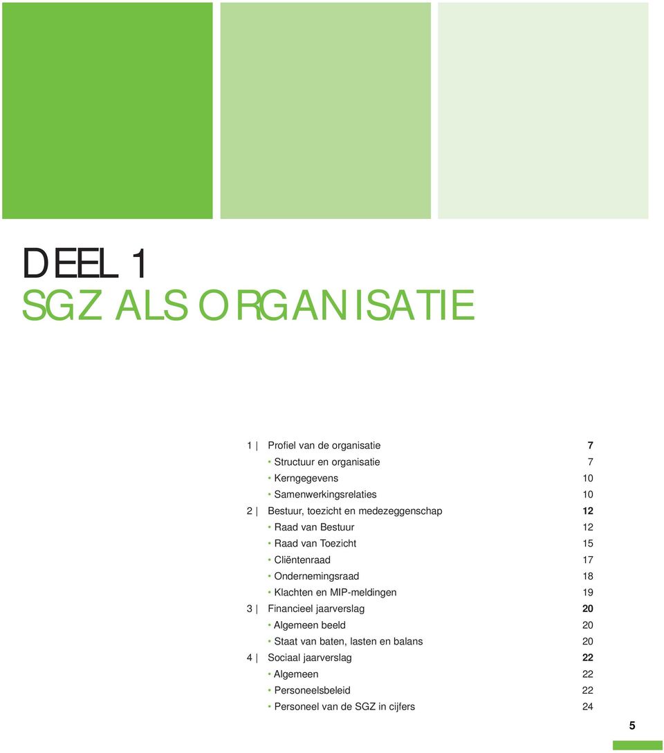 Cliëntenraad 17 Ondernemingsraad 18 Klachten en MIP-meldingen 19 3 Financieel jaarverslag 20 Algemeen beeld 20
