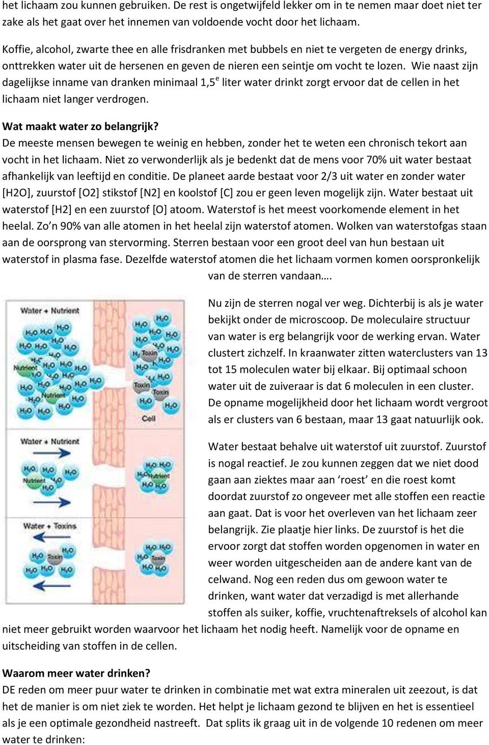 Wie naast zijn dagelijkse inname van dranken minimaal 1,5 e liter water drinkt zorgt ervoor dat de cellen in het lichaam niet langer verdrogen. Wat maakt water zo belangrijk?