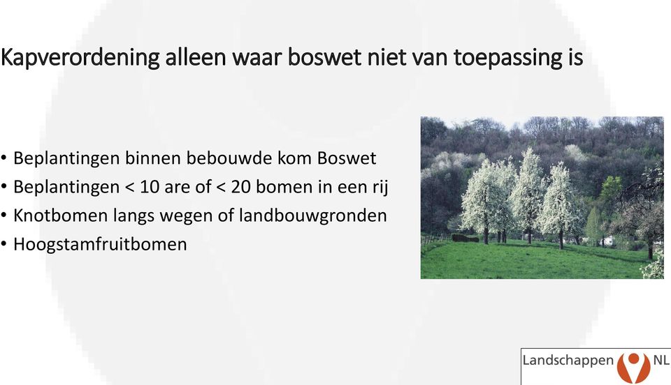 Boswet Beplantingen < 10 are of < 20 bomen in een