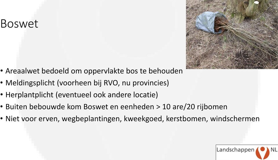 (eventueel ook andere locatie) Buiten bebouwde kom Boswet en eenheden