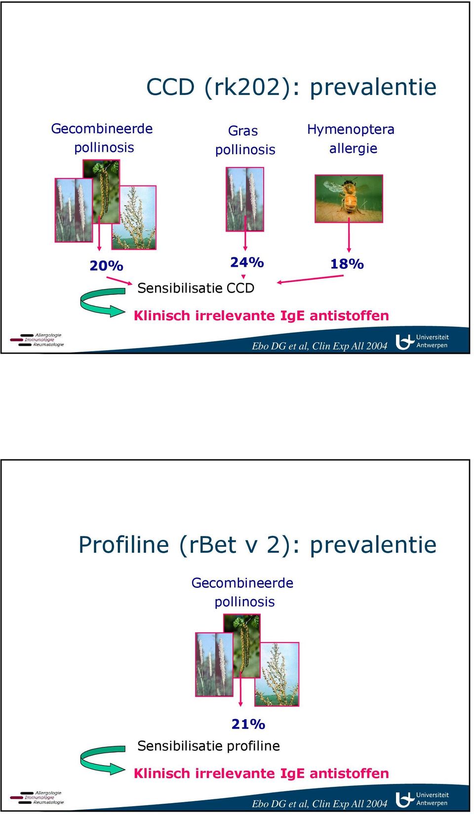 Exp All 2004 Profiline (rbet v 2): prevalentie Gecombineerde pollinosis 21%