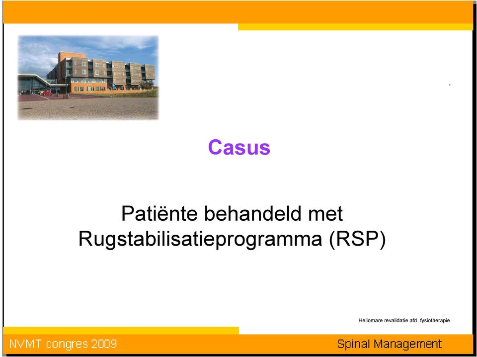 Rugstabilisatieprogramma