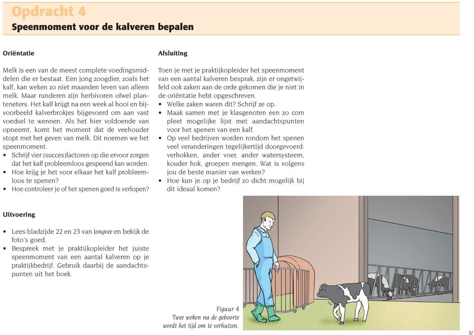 Het kalf krijgt na een week al hooi en bijvoorbeeld kalverbrokjes bijgevoerd om aan vast voedsel te wennen.