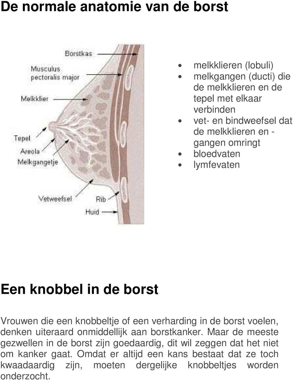 verharding in de borst voelen, denken uiteraard onmiddellijk aan borstkanker.