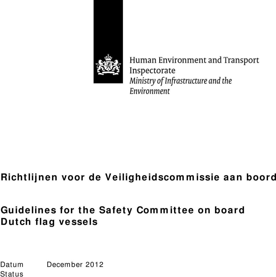 Guidelines for the Safety Committee