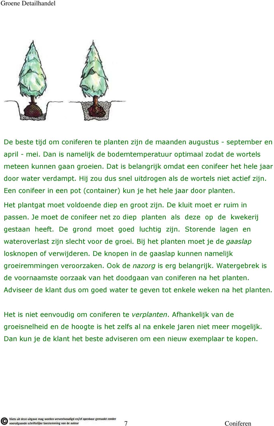 Een conifeer in een pot (container) kun je het hele jaar door planten. Het plantgat moet voldoende diep en groot zijn. De kluit moet er ruim in passen.