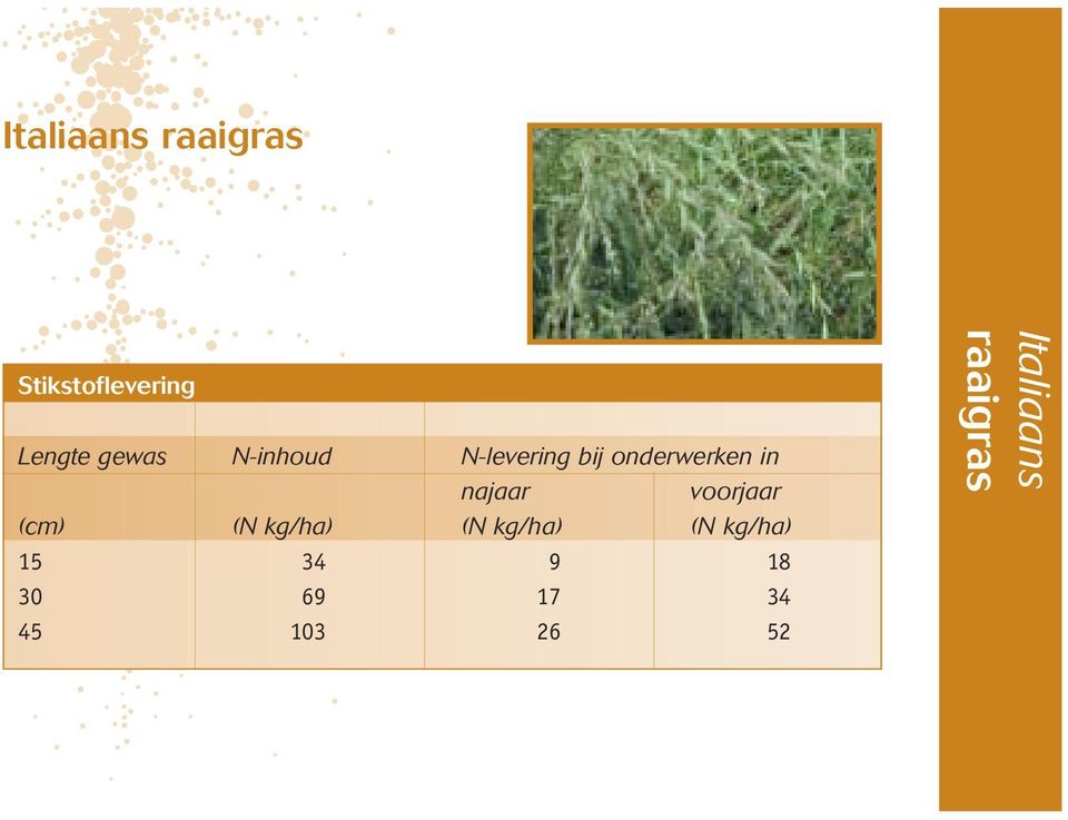 voorjaar (cm) (N kg/ha) (N kg/ha) (N kg/ha) 15